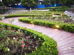 -北外滩滨江绿地