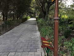 -哈密回王府景区