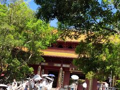 -深圳仙湖植物园