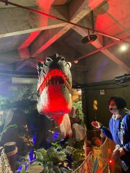 -恐龙探索乐园(磁器口店)