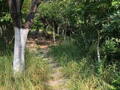-天鹅湖体育公园