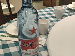 -紫光园·烤鸭·北京菜(劲松店)