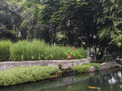 -成都市活水公园