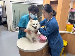 -联合动物医院(光谷诊疗中心)