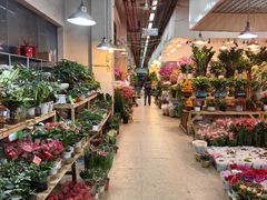 -双季花艺园艺市场(浦东店)