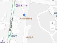 -张醪糟