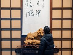 -中华赏石园