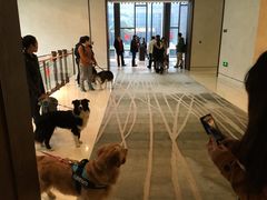 -上海崇明金茂凯悦酒店