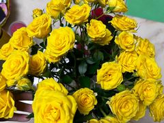 -循礼门鲜花花市(武汉循礼门店)