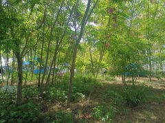 -天津东丽湖风景区