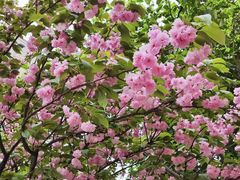 -长沙市青少年宫