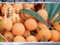-西山风景区