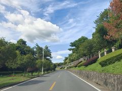 -长沙黑麋峰国家森林公园