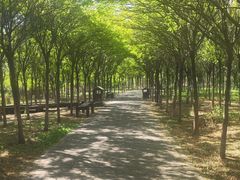 -西青郊野公园