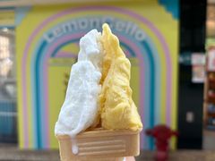 -柠檬车露(卖草地店)