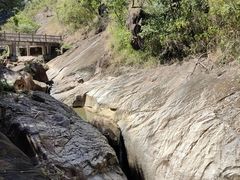 -广州白江湖森林公园