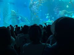 -哈尔滨波塞冬海底世界