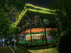 -金花茶公园