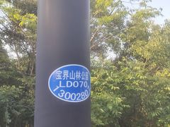 -宝界山林公园