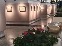 -石家庄正定国际机场-T2航站楼