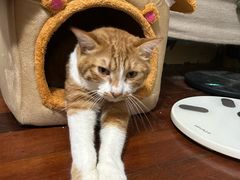 -VPsmart私教健身工作室(新华路旗舰店)