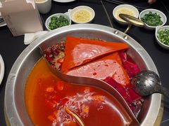 -蜀九香火锅(彩虹店)