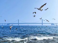 -大连老虎滩海洋公园