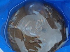 -东戴河风景区-止锚湾