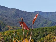 -五女峰国家森林公园