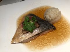 酒酿蒸鲥鱼-苏浙总会(国金中心店)