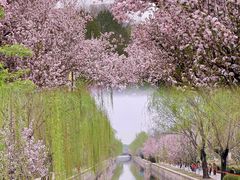 -海棠花溪(元大都城垣遗址公园)