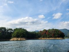 -宝荣鱼馆·临湖之宴(千岛湖店)