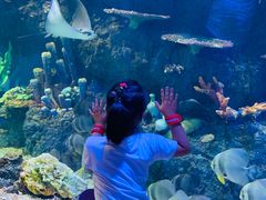 -华夏文旅海洋公园