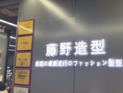 -藤野造型烫发染发