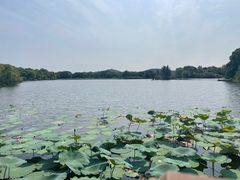 -上海市保健医疗中心