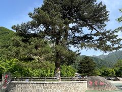 -秦岭终南山世界地质公园翠华山景区