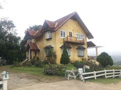 -黄色小屋