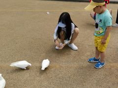 -烟台海昌鲸鲨海洋公园