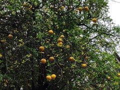 -洛阳周公庙博物馆