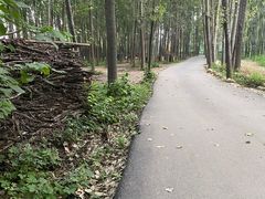 -林间山庄
