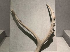 -仪征博物馆