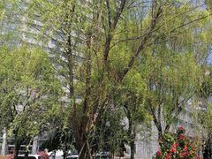-龙湖杭州滨江天街