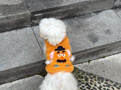 -富民路210弄小区