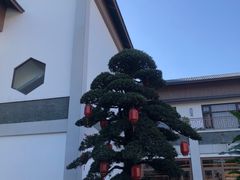 -聚福宝合苑食府(南头镇店)