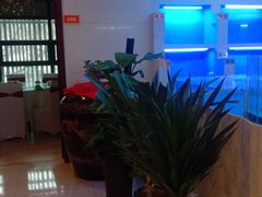 -金彤川菜(西稍门店)