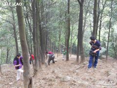 -火炉山森林公园