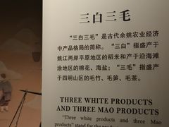 -余姚博物馆