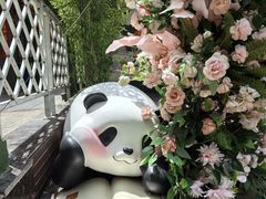 -轩客会(熊猫书店)