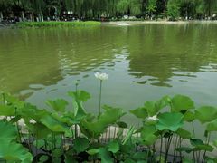 -西安市长乐公园