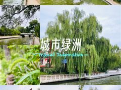 -南长河公园